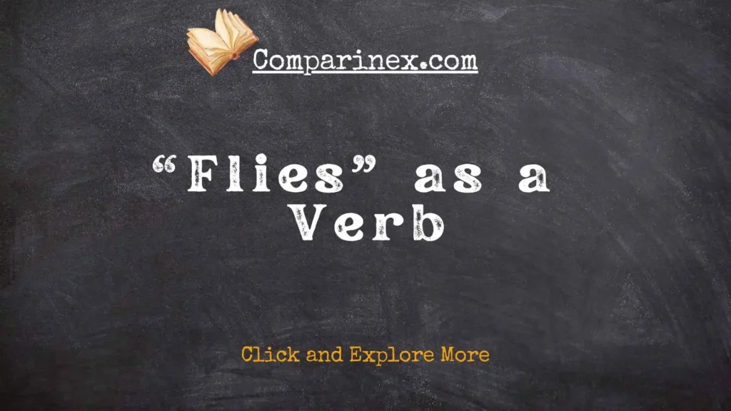 Flys or flies