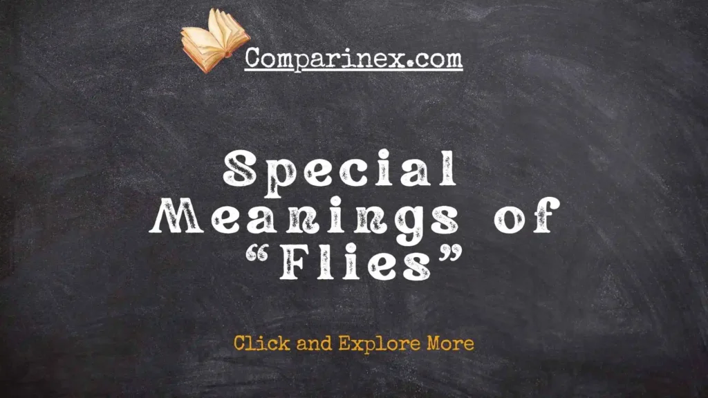 Flys or flies
